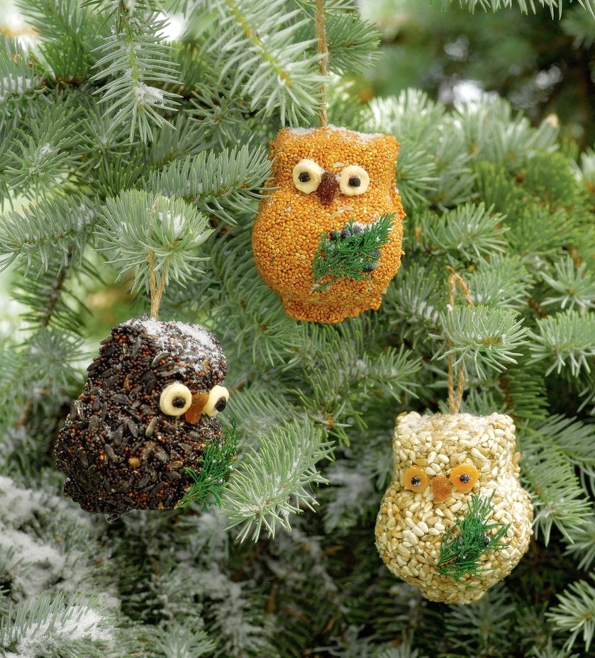 Ollie Owl Birdseed Ornament Gift Box